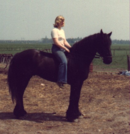 Feulko