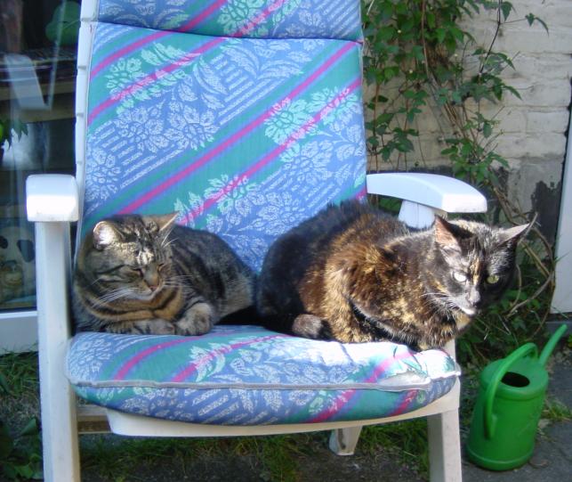 Zwabber en Molly 14 juni 2004