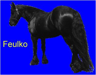 Feulko 