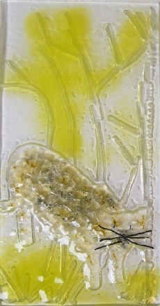 20070512_1111 tijger vlinders 20070512_1111 tijger vlinders