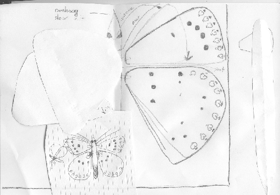 26_2 tekening vlinder