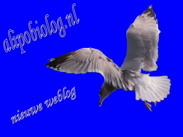 Nieuwe weblog